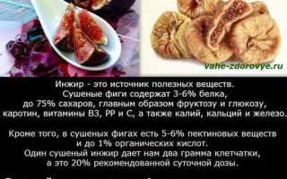 Инжир, фига или смоковница полезные свойства и противопоказания