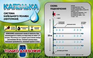 Выбираем насос для полива дачных грядок из бочки