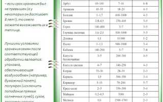Подготовка семян к посеву: обзор комплекса всех необходимых предварительных процедур