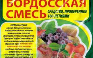 Бордосская жидкость для растений свойства, как приготовить и применять