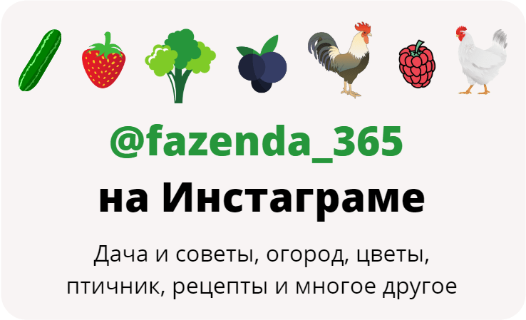 дачный инстаграм