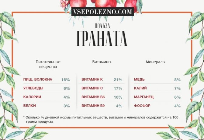Гранат польза и вред для здоровья