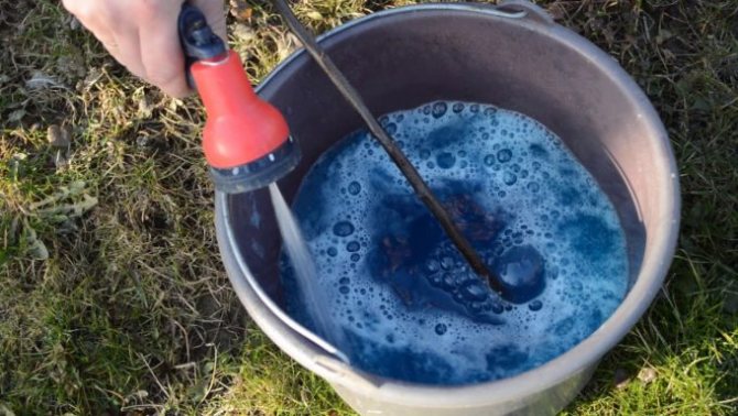 как разводить железный купорос